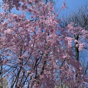 Meet your Posher, Lu